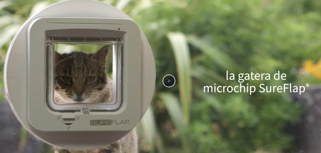 Revisión de la Gatera SureFlap Sure Petcare con Lector de Microchip