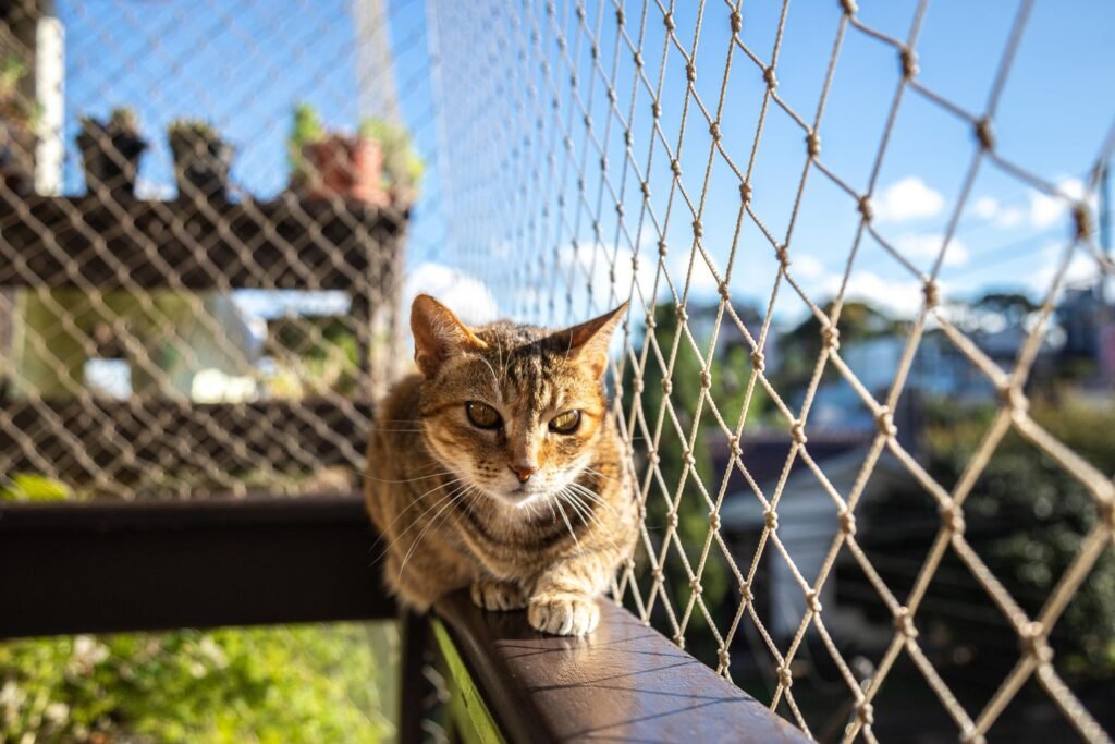 Cómo Instalar una Red Gatera Segura y Duradera para Proteger a tu Gato